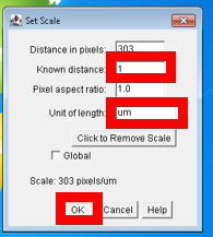 Setting_Scale